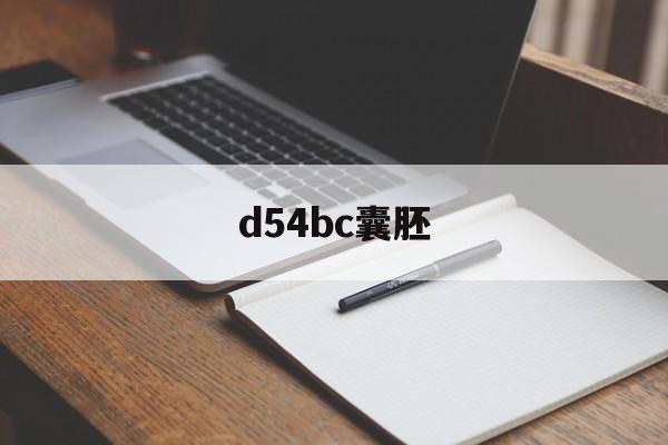 d54bc囊胚_囊胚d54bc是什么意思