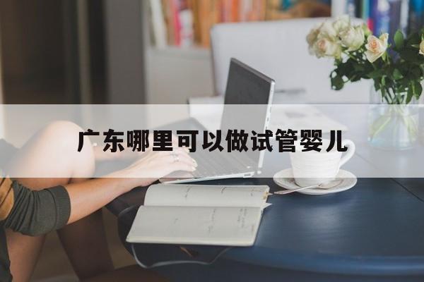 广东哪里可以做试管婴儿_广东哪里做试管婴儿成功率高一点