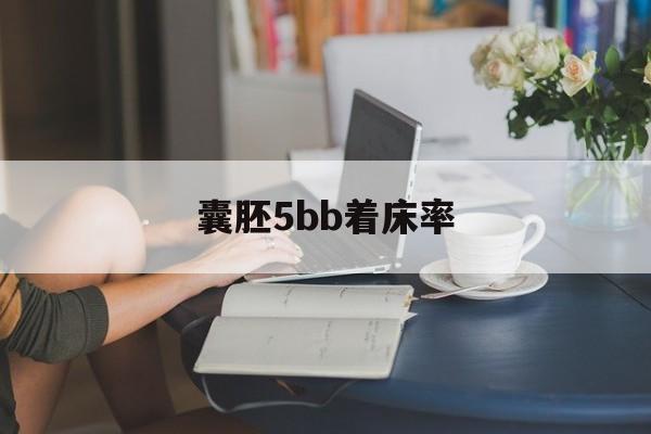 囊胚5bb着床率(囊胚5bb是第几天胚胎)